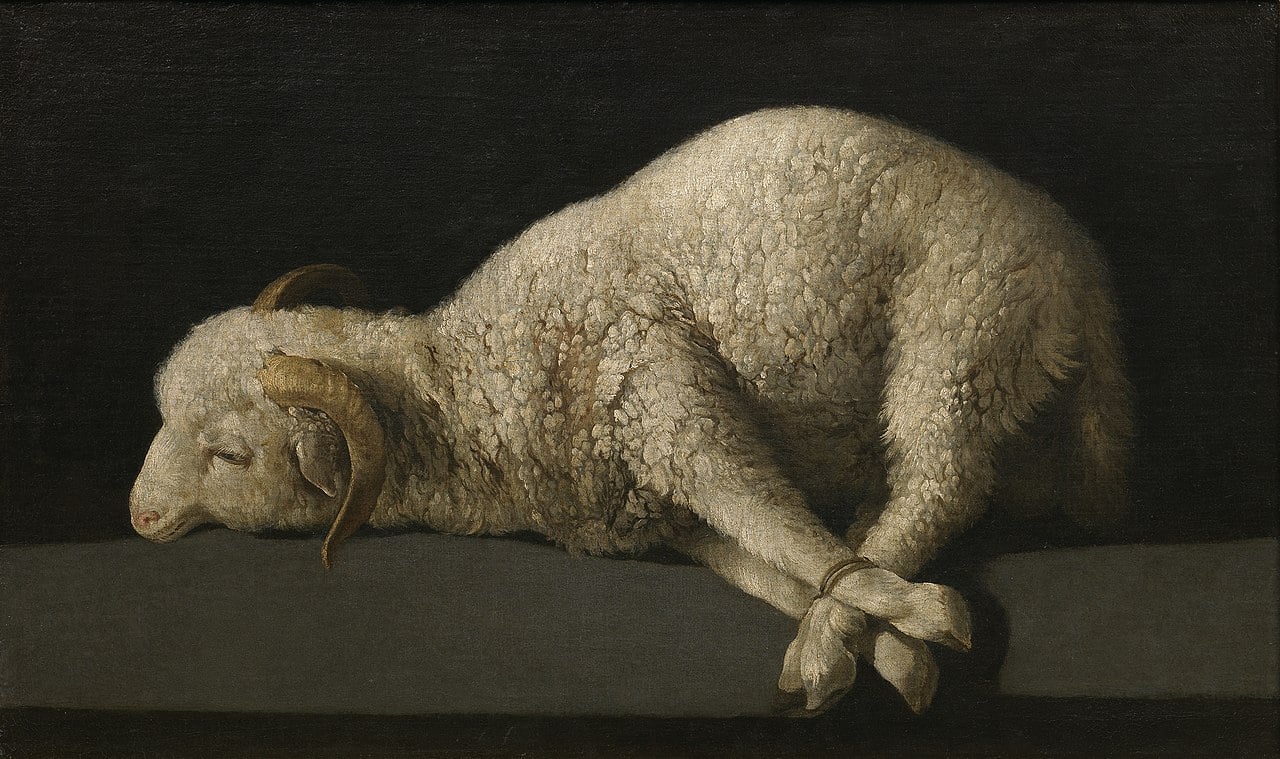 Painting of a white lamb with tied up hooves