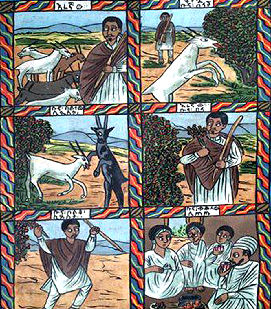 An illustration in six squares depicting the discovery of coffee. The first three squares show goats eating and being stimulated by coffee. The next show a man noticing this effect and bringing coffee back to his village to be consumed by people.