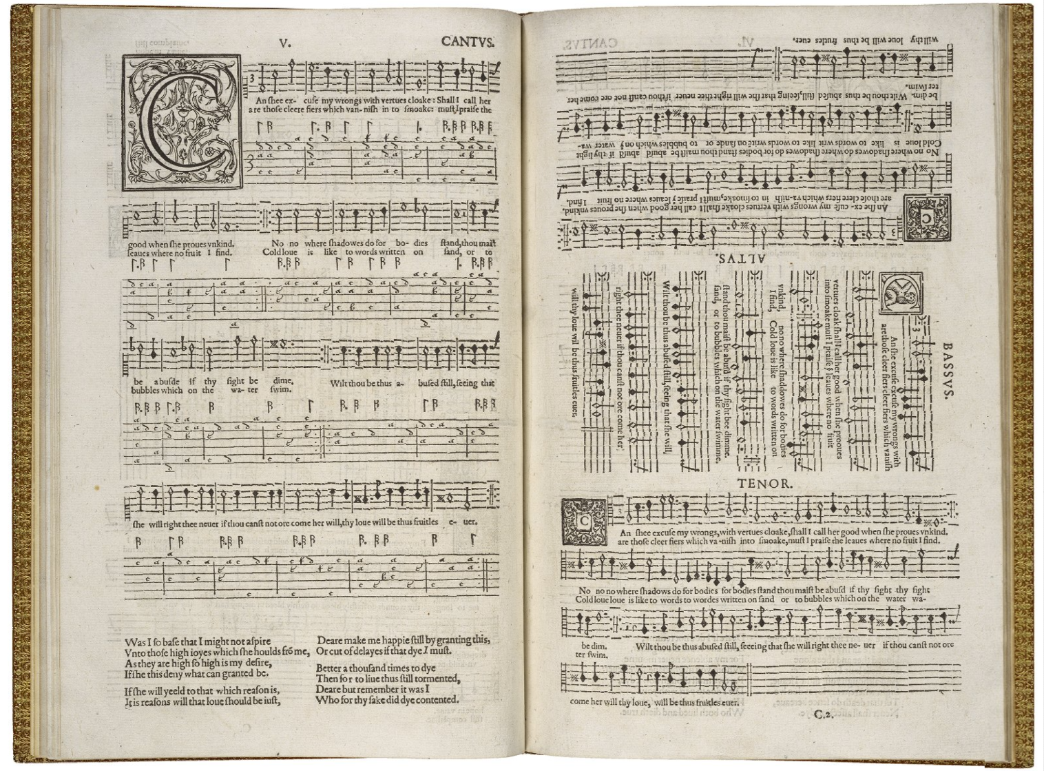 A picture the shows an open book with the page layout of a lute tablature.