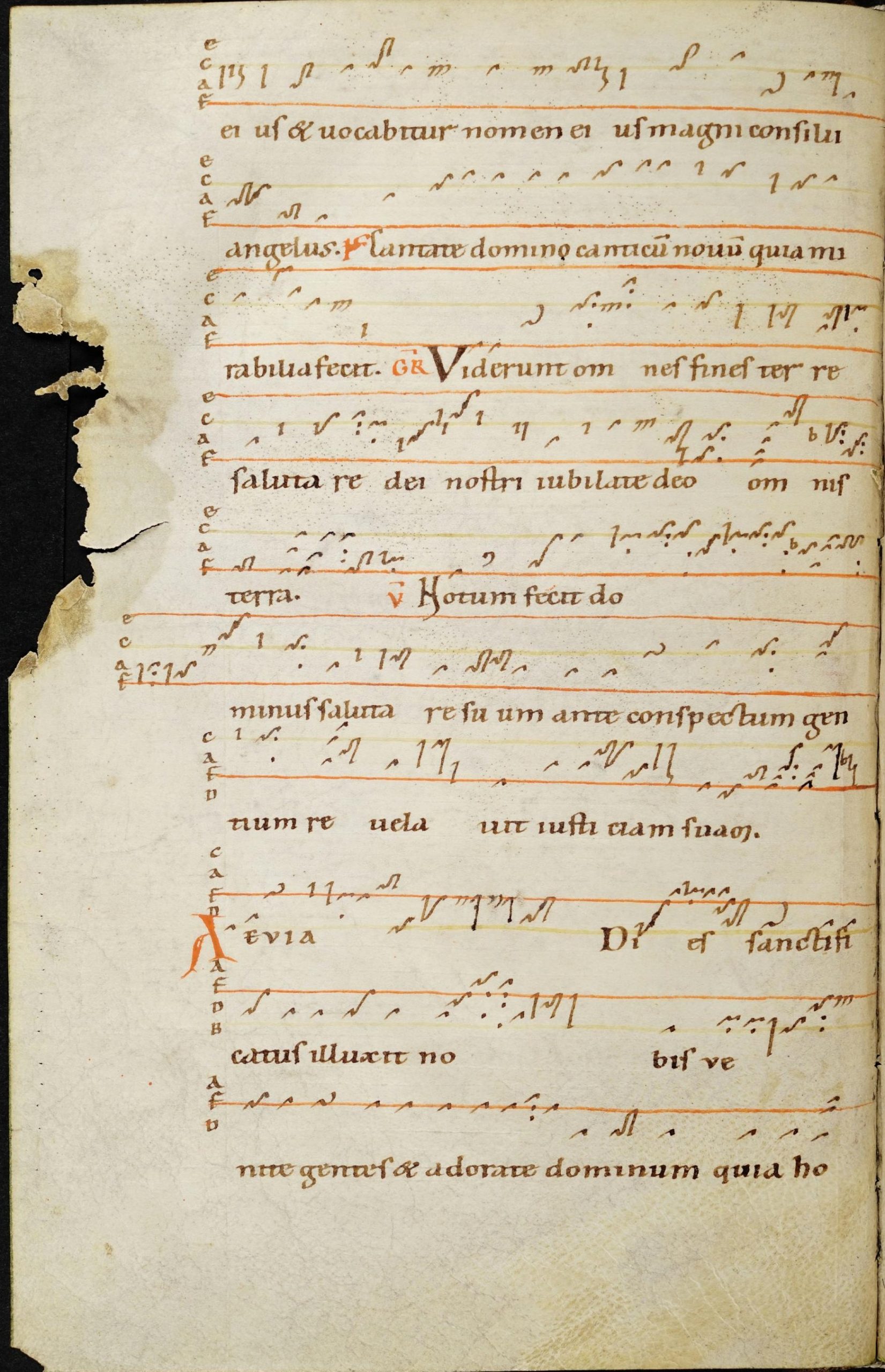 A document showing neumes along four lines representing the pitches F, A, C, and E