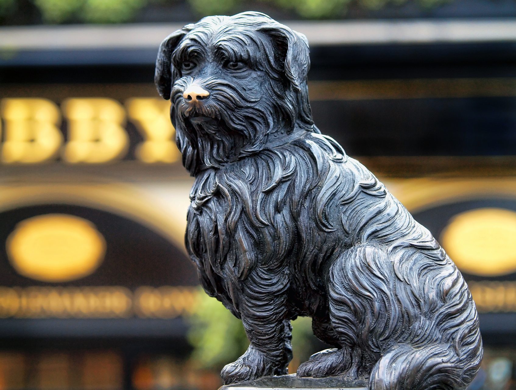A photograph of a metal sculpture of a small black dog sitting on top of a pedestal. The dog has a fluffy coat. The sculpture is made of a black metal and has intricate details on its face and body. The nose is shiny from being rubbed by tourists. The background is a blurry image of a street.