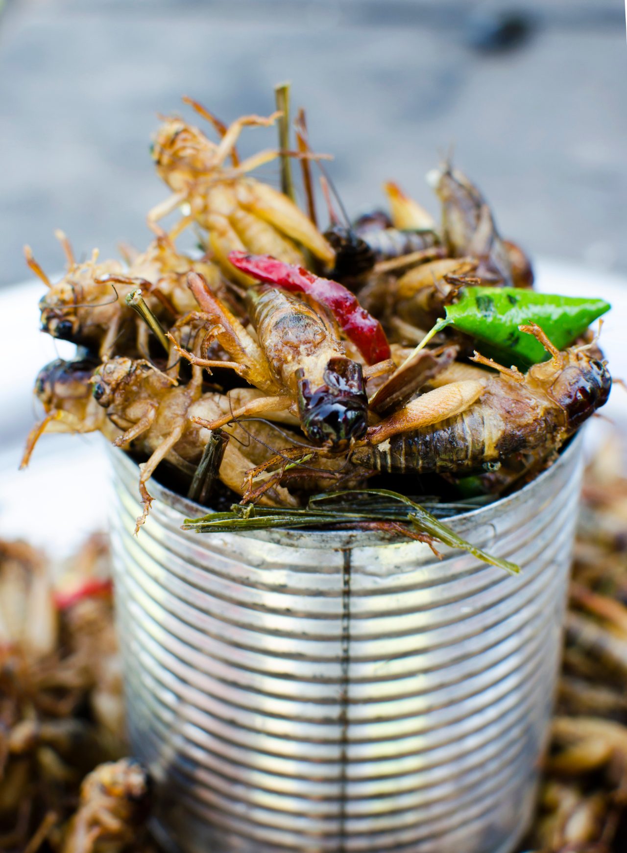This image shows a container filled with small, fried grasshoppers. The container is made of metal.