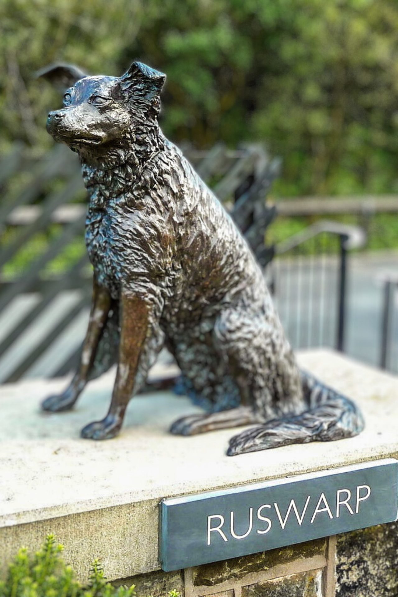A bronze statue of a dog sitting on a stone pedestal. The dog has a brown coat . The pedestal has an attached sign that reads 'Ruswarp'. There are trees in the background.
