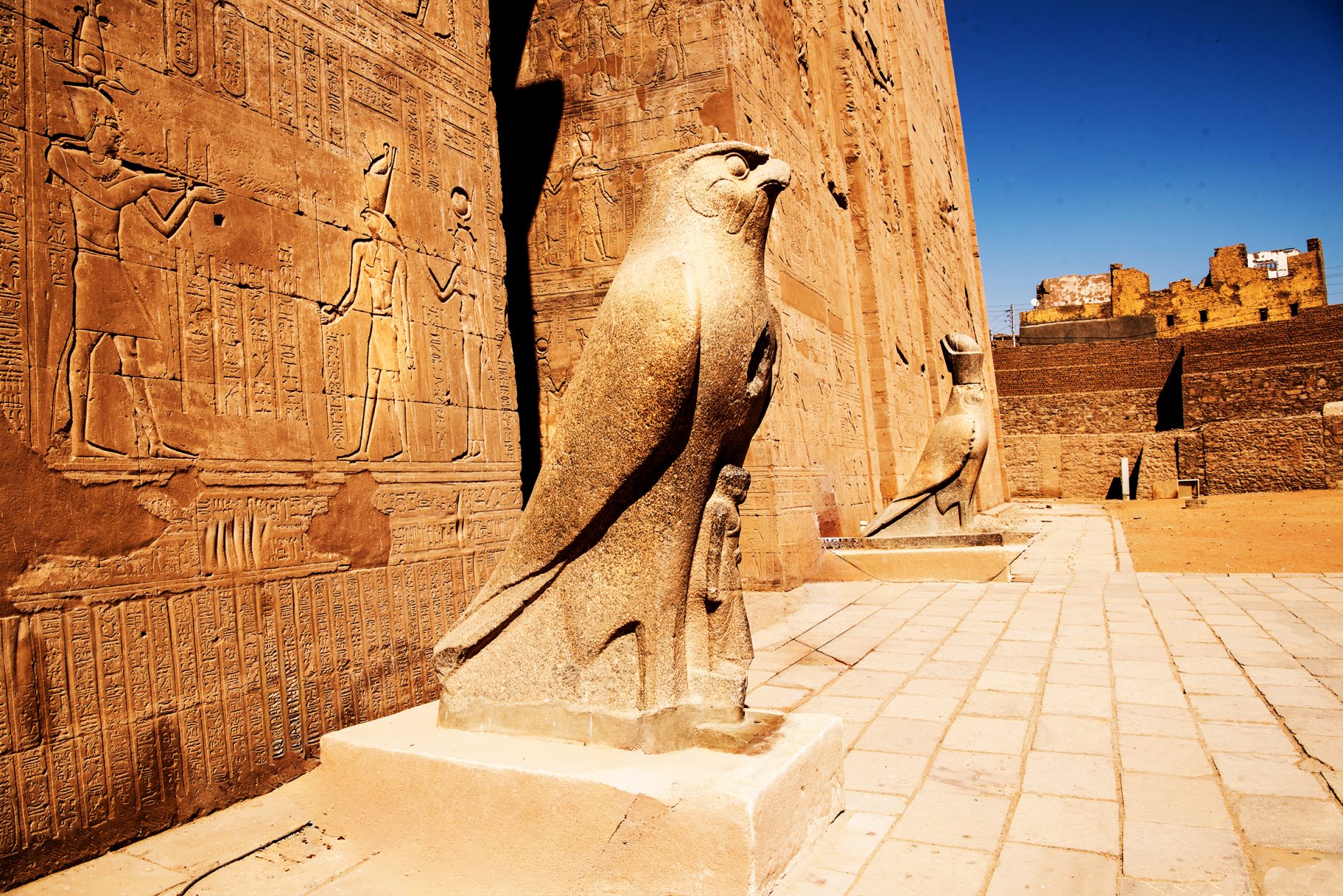 The image shows two stone statues of falcons outside an ancient Egyptian temple. The statues are located on either side of a doorway with hieroglyphics carved into the walls. The falcons are depicted with their wings folded. The statues are weathered. The background consists of a clear blue sky and the ruins of a temple or palace in the distance. The ground is made of sandstone and is covered in sand. The falcons are symbols of Horus, the god of the sky, kingship, and protection.