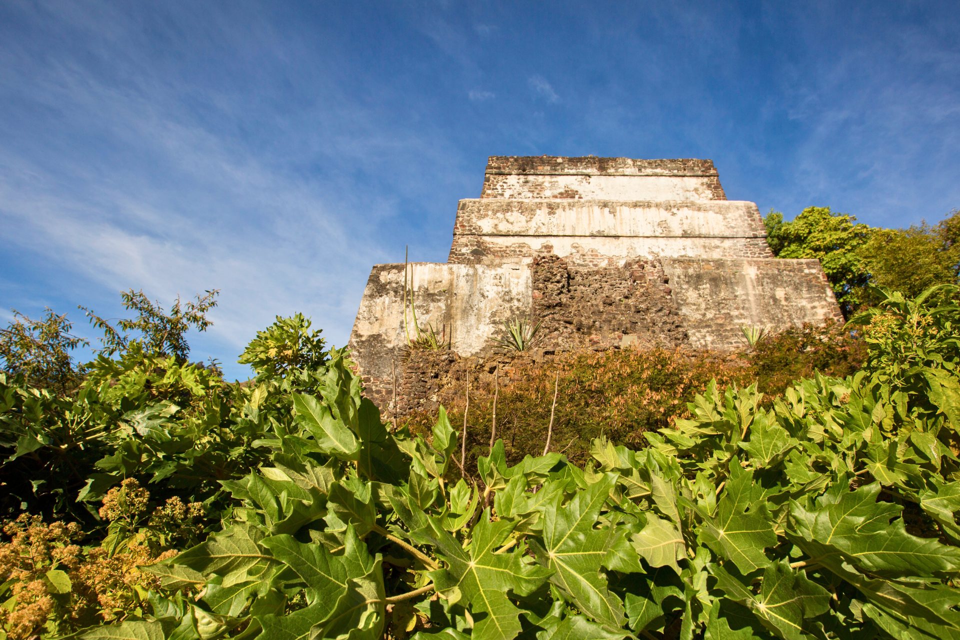 A photograph of the ancient Tepozteco pyramid amongst a lush, thick jungle.