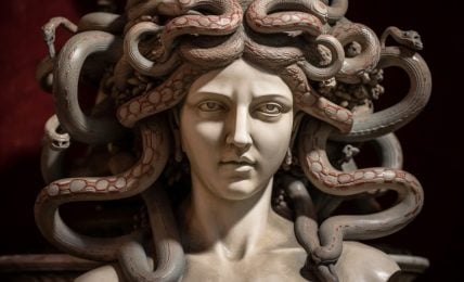 A stylized image of Medusa, a woman with snakes for hair
