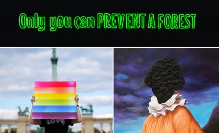 A collage of three images that contrast different messages and styles. The top image is a black background with green text that reads “Only you can PREVENT A FOREST”, a twist on the slogan of Smokey Bear, a mascot for forest fire prevention. The middle image is a photo of a person holding a rainbow-colored sign that reads “LOVE” in front of a monument, expressing support for LGBTQ+ rights. The bottom image is a painting of a person wearing an orange outfit and a white ruffled collar, resembling, with a dark sky in the background, creating a sense of mystery and drama.