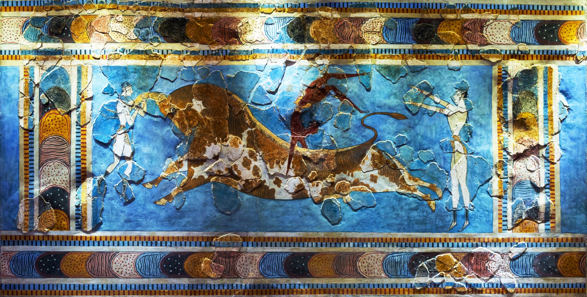 Original Bull-leaping fresco from Knossos palace, Crete, dating 1600-1450 BCE. This portion of the Toreador Fresco captures an acrobat on a bull's back, another readying to leap, and a third with arms wide open.