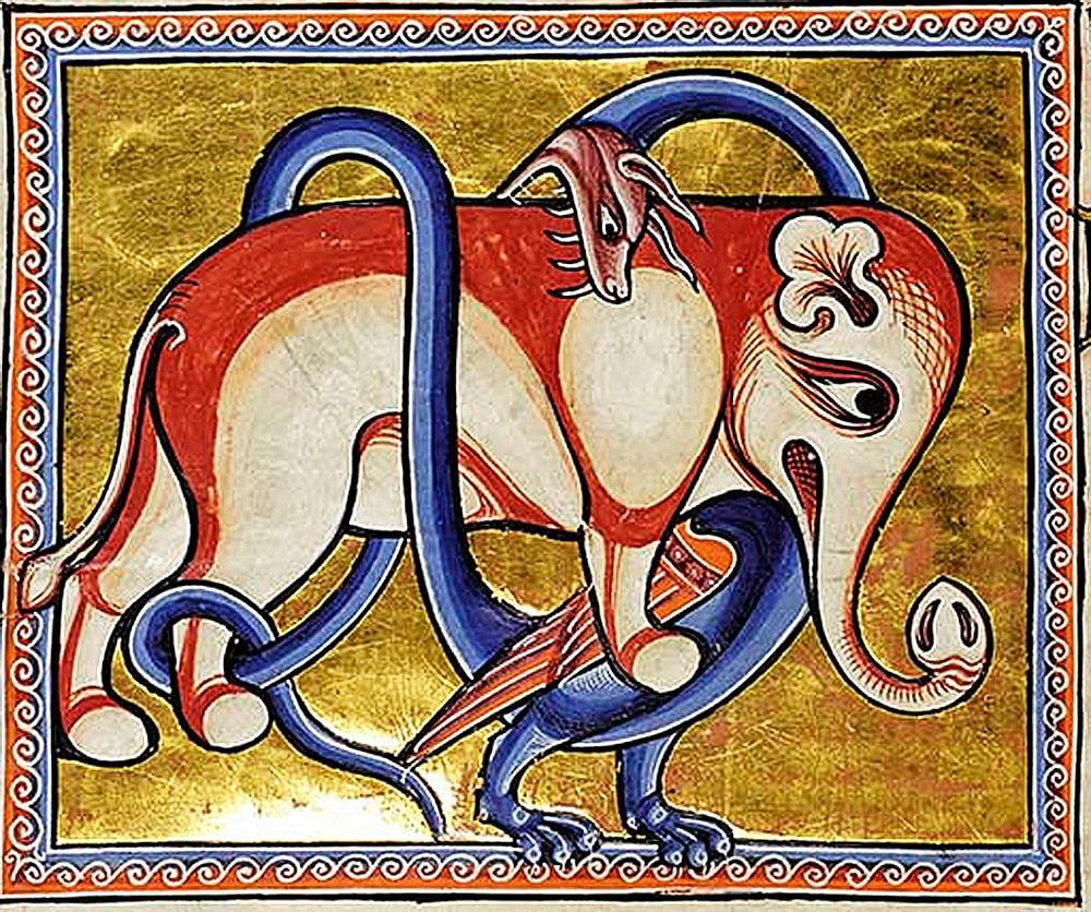 An illustration from a medieval bestiary book depicting an elephant with a dragon wrapped around it. The dragon is bitting the elephant's back.