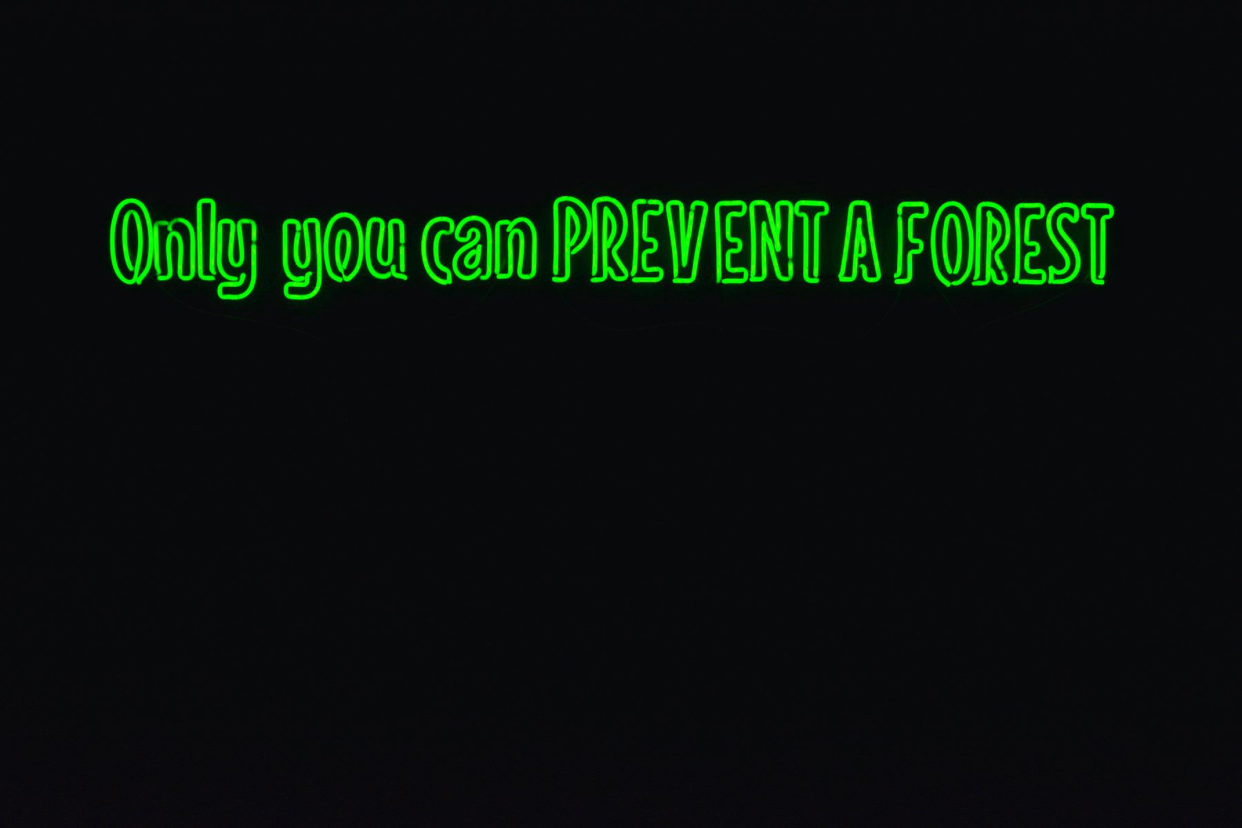 A black background with green text that reads “Only you can PREVENT A FOREST”, a twist on the slogan of Smokey Bear, a mascot for forest fire prevention. The text is in all caps and is in a neon green color, creating a contrast with the dark background.