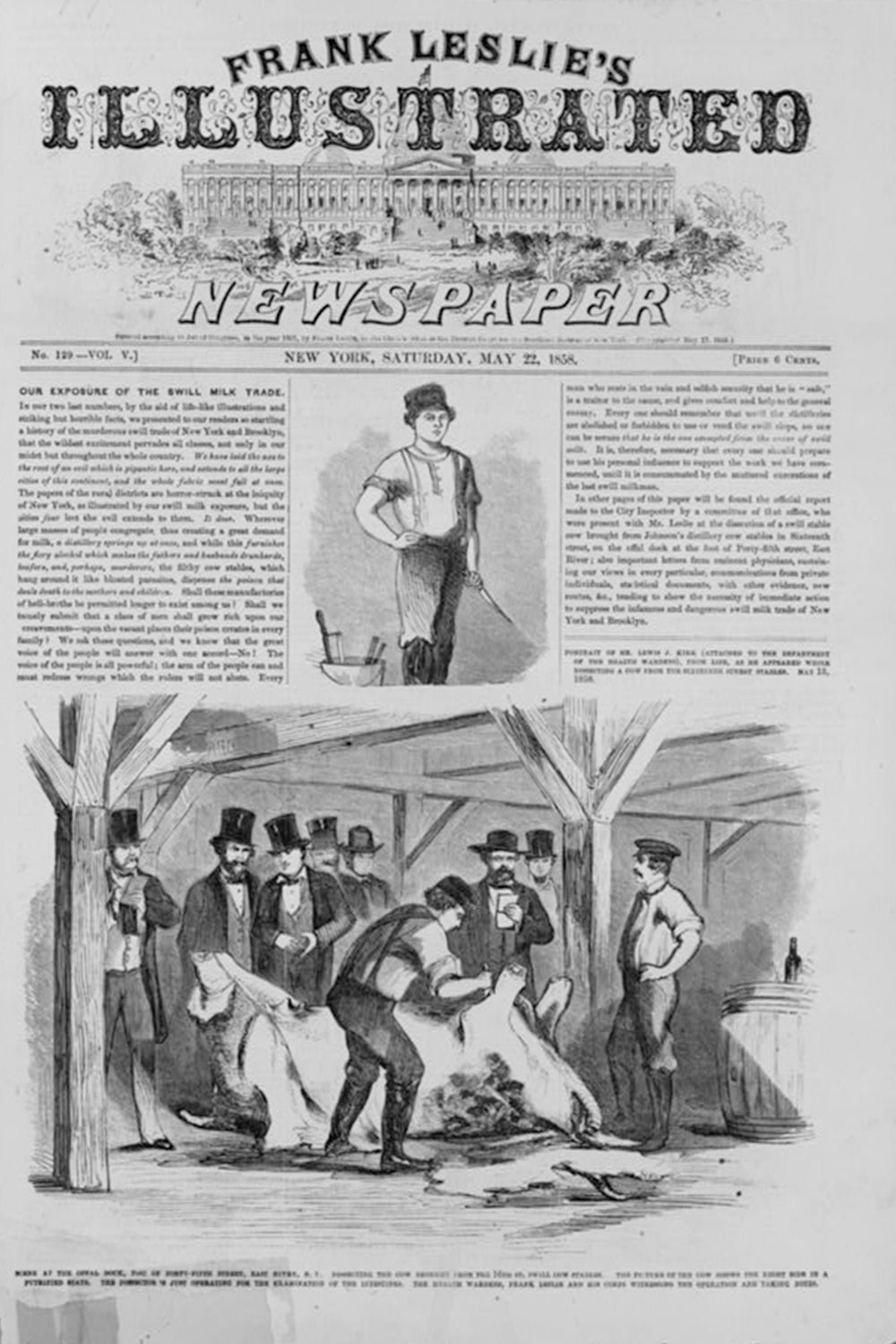 This image is of a newspaper page featuring men in top hats standing around a dead cow. There is a printed article above the image.