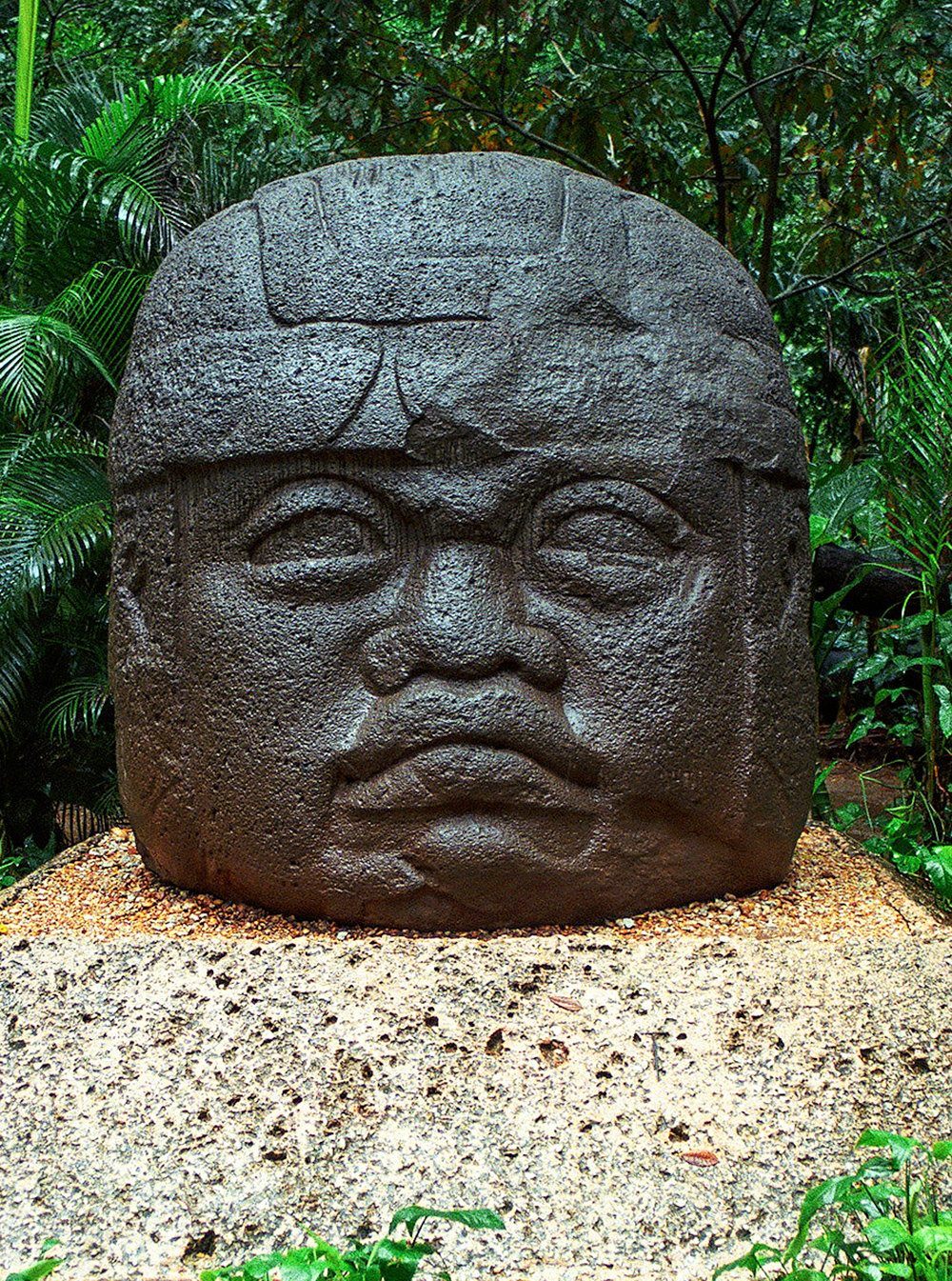 A photo of a Giant Olmec Head from 700-850 BC, standing 2.5m tall in a garden setting.
