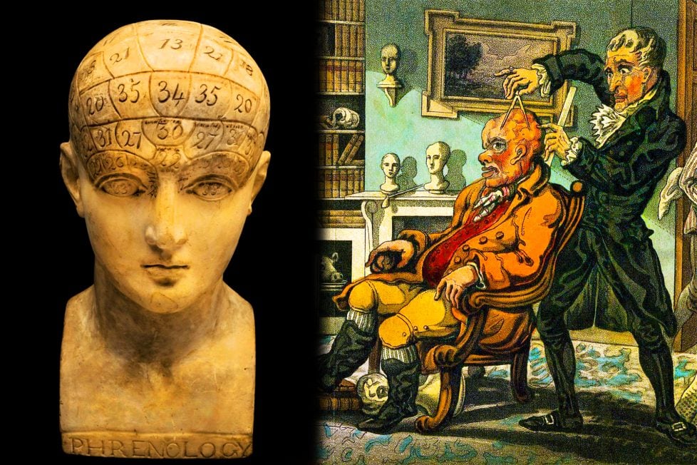 A collage divided into two parts. The left part is a Phrenology bust. The right part is a phrenologist's consulting room filled with busts and skulls. An elderly, bald man sits in an armchair while the practitioner measures his wrinkled scalp with dividers and a ruler.