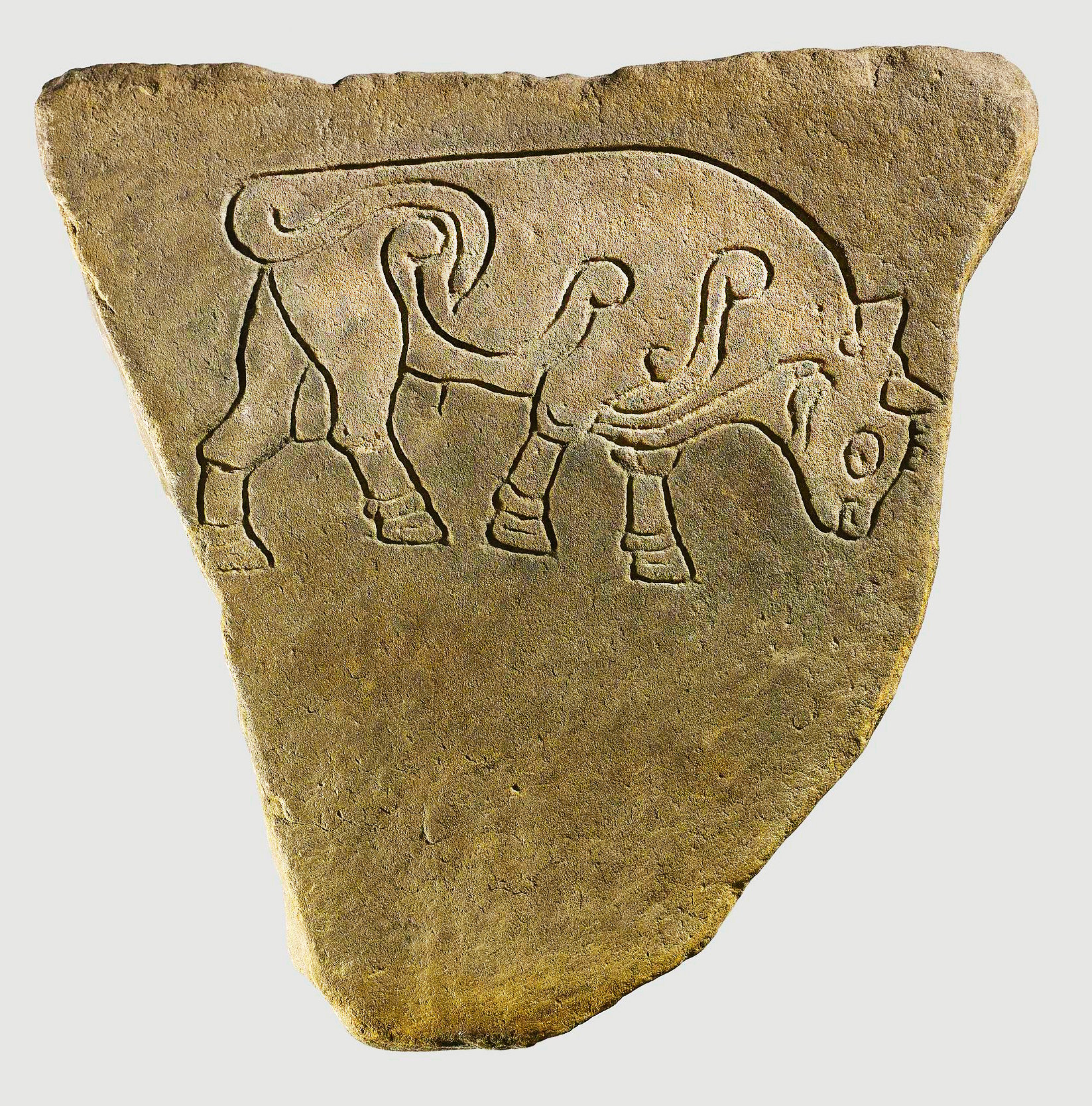 Triangular Pictish Symbol stone in dark brown, featuring an engraved depiction of a bull with ornate scrolls on its hip and shoulder.