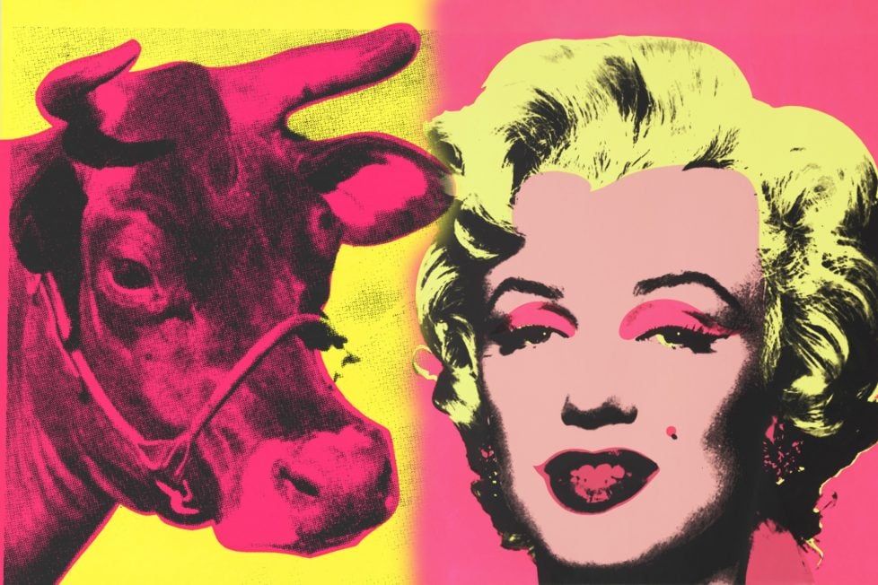 Pop art-style artwork juxtaposing two side-by-side images. On the left is a vibrant magenta-toned depiction of a cow with a dotted yellow background. On the right, a similarly styled portrait of Marilyn Monroe, her iconic features highlighted in pink and set against a bold pink background. Both images blend seamlessly in the middle, suggesting a fusion of contrasting subjects.