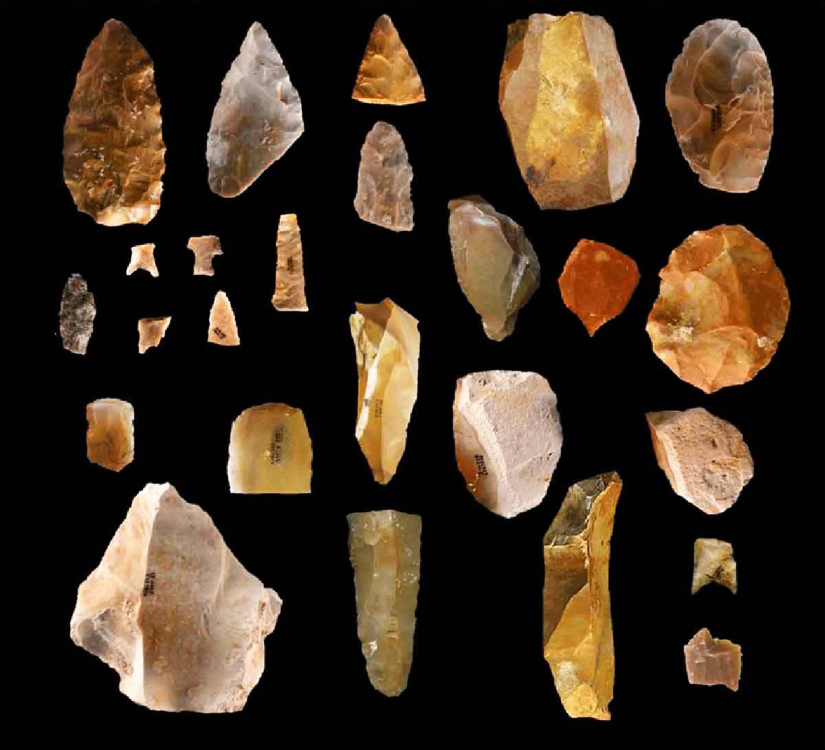 Assortment of stone tools from the Gault site, Texas, including bifaces, blade cores, quartz and lanceolate projectile points, unifacial tools, gravers, discoidal bifaces, end scrapers, and modified flake tools.