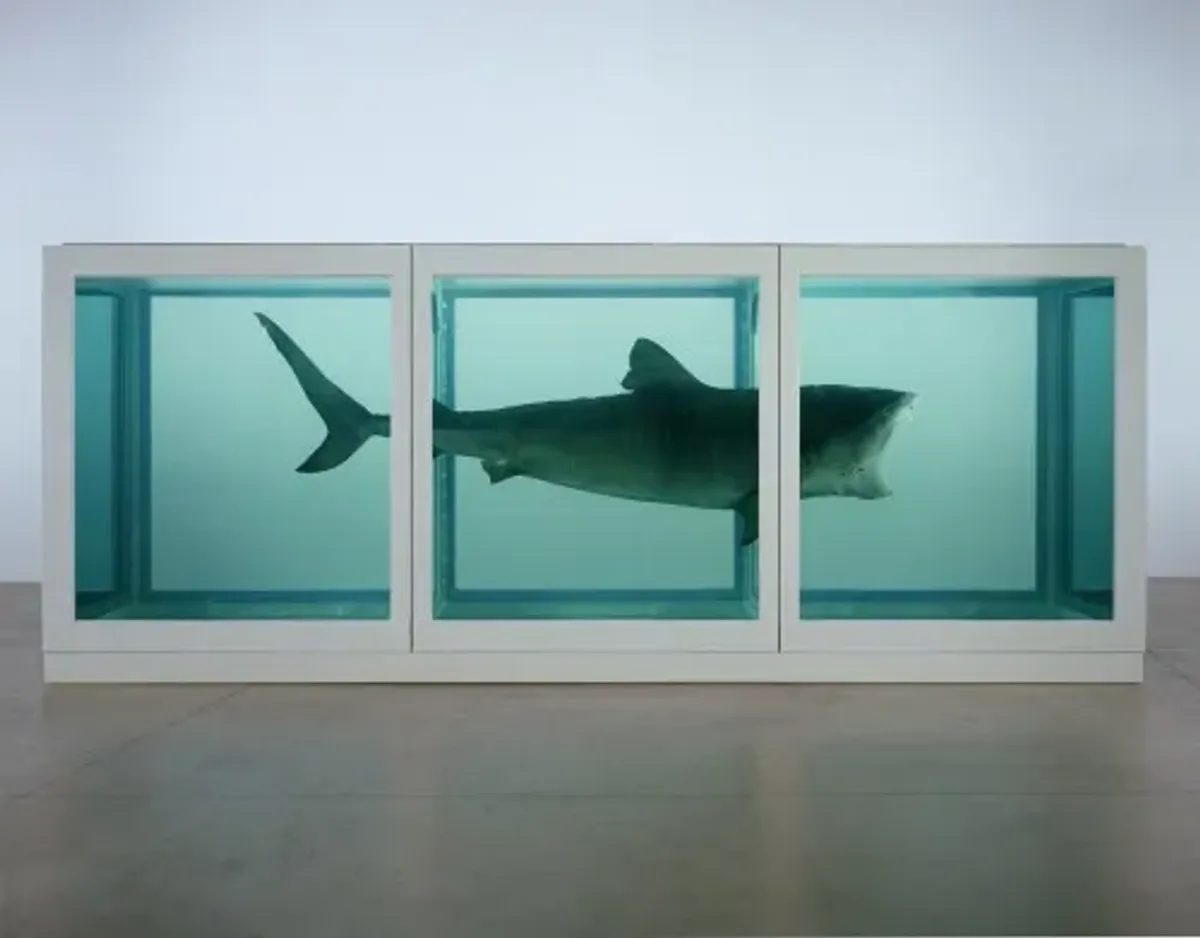 A photograph of an art installation consisting of three transparent water tanks, each containing a piece of a shark.