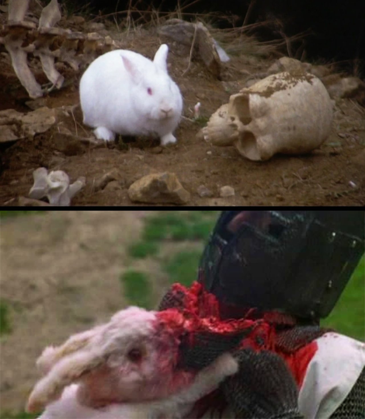 A two-panel image of a white rabbit and a person in a knight’s armor. The top panel shows the rabbit sitting on the ground with bones and a skull. The bottom panel shows the rabbit biting the neck and killing the knight, in a bloody scene.