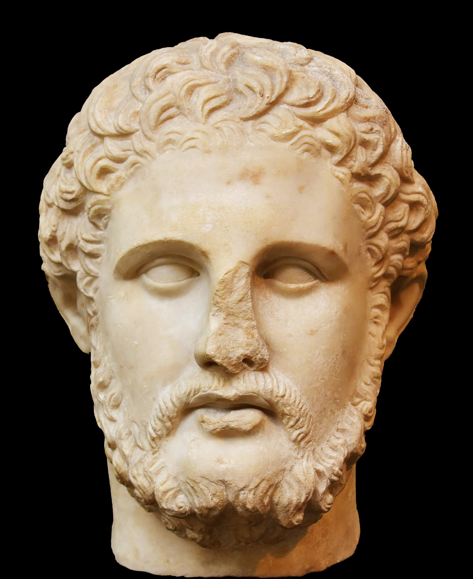 A detailed marble bust of Phillip II of Macedonia, displaying intricate facial features such as wavy hair, deep-set eyes, and a prominent beard.