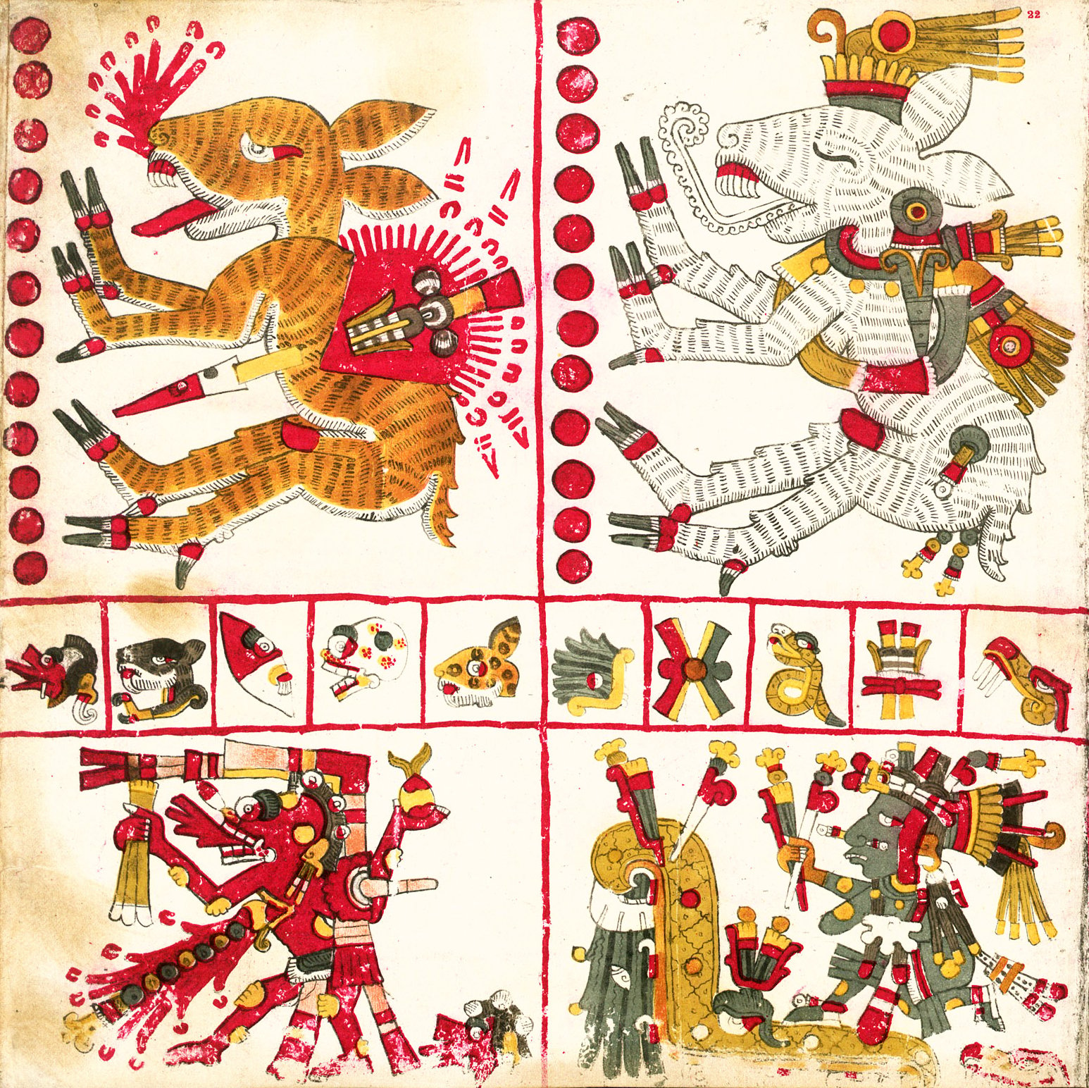 A detailed illustration from page 22 of the Codex Borgia showcasing the Naguals, mythical shapeshifting creatures. On the top left, a formidable figure appears in a mid-transformation state between a human and a fierce, reddish-brown feline creature with sharp claws and intense, fanged facial features. To its right is another figure, morphing between a human and a striped, white-gray canine or coyote-like creature, adorned with intricate jewelry and a crown. The center of the image is divided by a column of red circular symbols. Below these transformative figures, two human warriors or deities in vibrant costumes are depicted in dynamic poses, wielding weapons and surrounded by various smaller symbolic icons, including animals, plants, and abstract representations.