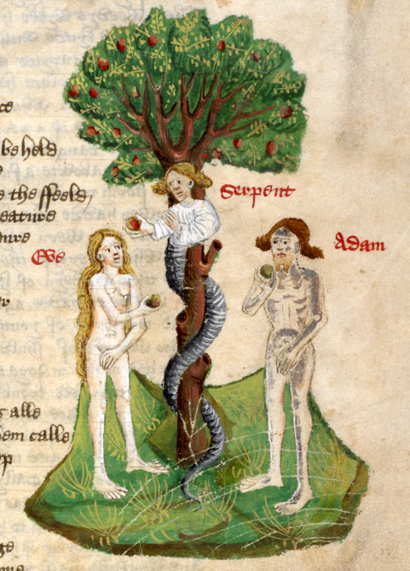 A medieval illustration from “The Fall of Princes” by John Lydgate, dated 1450-60, depicting the biblical scene of Adam and Eve in the Garden of Eden. A large tree laden with red apples stands central, with a serpent winding its way up the trunk. Eve, with long flowing hair, stands to the left, reaching out to an apple held by the serpent. Adam, to the right, looks contemplative as he holds an apple to his face. Handwritten annotations label the serpent, Adam, and Eve, and there's faded script in the background.