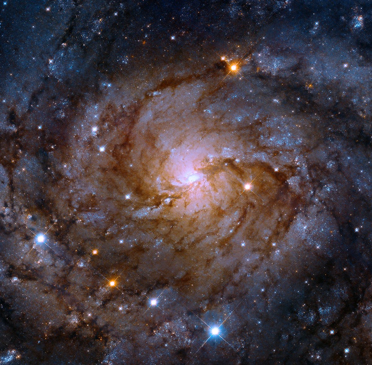 A high-resolution image of a spiral galaxy, with vibrant clusters of stars and swirling cosmic dust, radiating outward from a bright central core. The galaxy's arms stretch across the vastness of space, exemplifying the stoic belief in the insignificance of human troubles in the face of the universe's immensity.